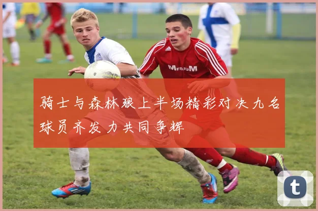 骑士与森林狼上半场精彩对决九名球员齐发力共同争辉
