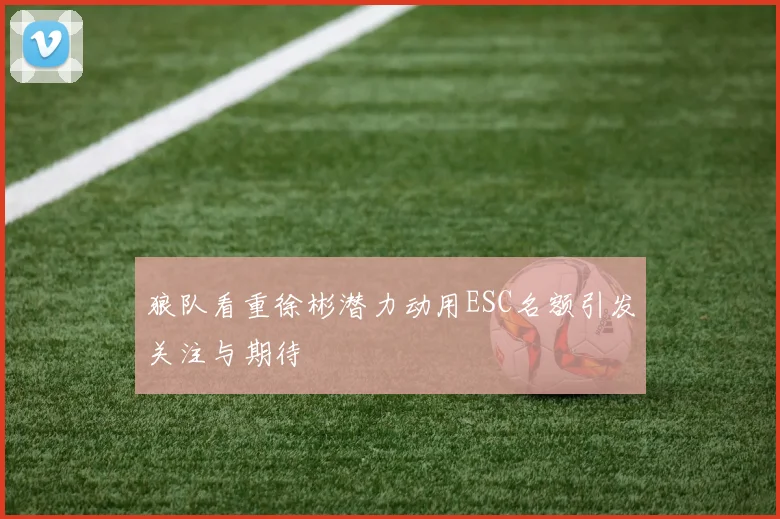 狼队看重徐彬潜力动用ESC名额引发关注与期待