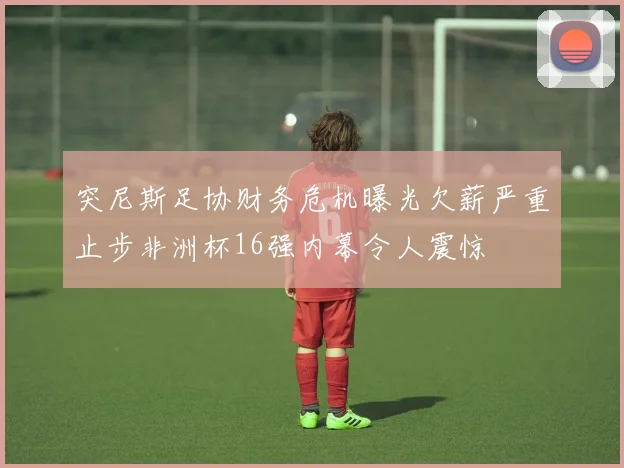 突尼斯足协财务危机曝光欠薪严重止步非洲杯16强内幕令人震惊