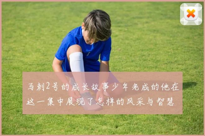 马刺2号的成长故事少年老成的他在这一集中展现了怎样的风采与智慧