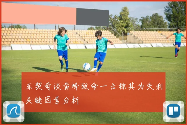 东契奇谈黄蜂致命一击称其为失利关键因素分析